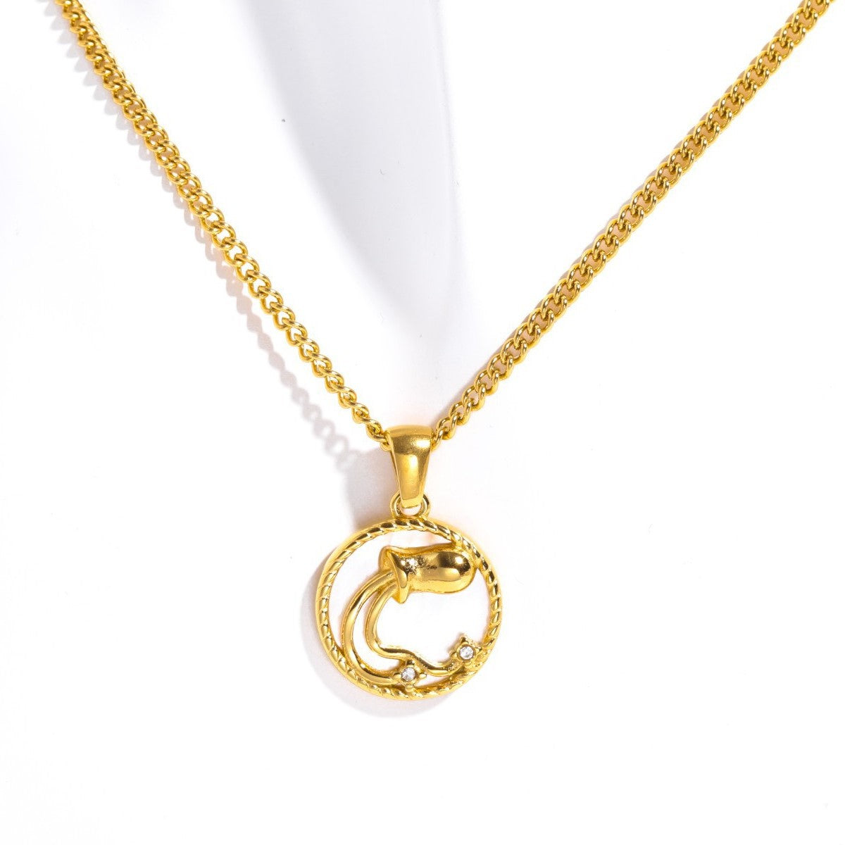 Tamera Zodiac Coin Necklace - Aquarius - Gold [0458YO7Q]