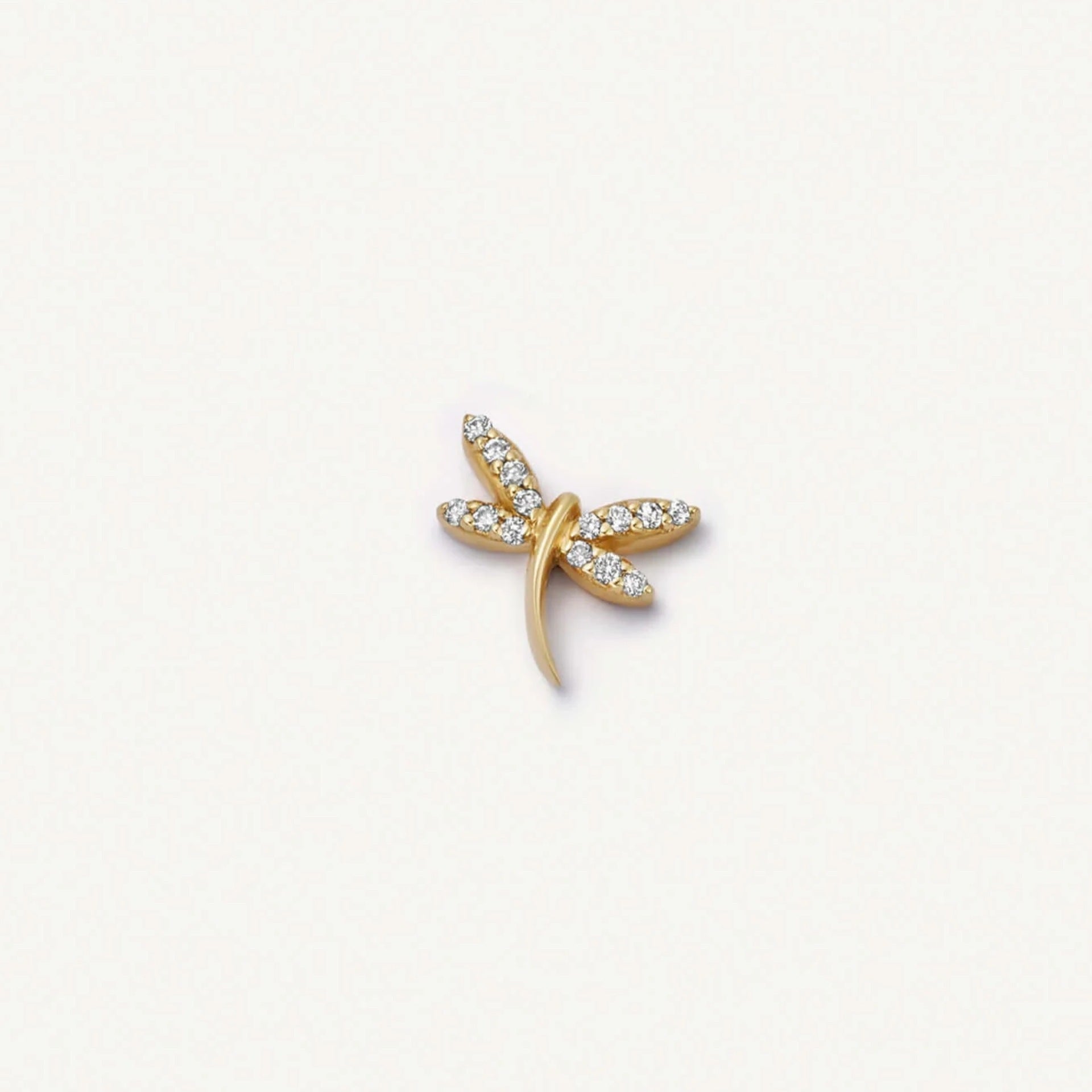 Floating Charm Locket Necklace - CZ Dragonfly Charm [582G9FOY]