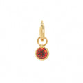 Zodiac Birthstone Pendant Necklace - January Zircon Pendant [HABDDC6B]