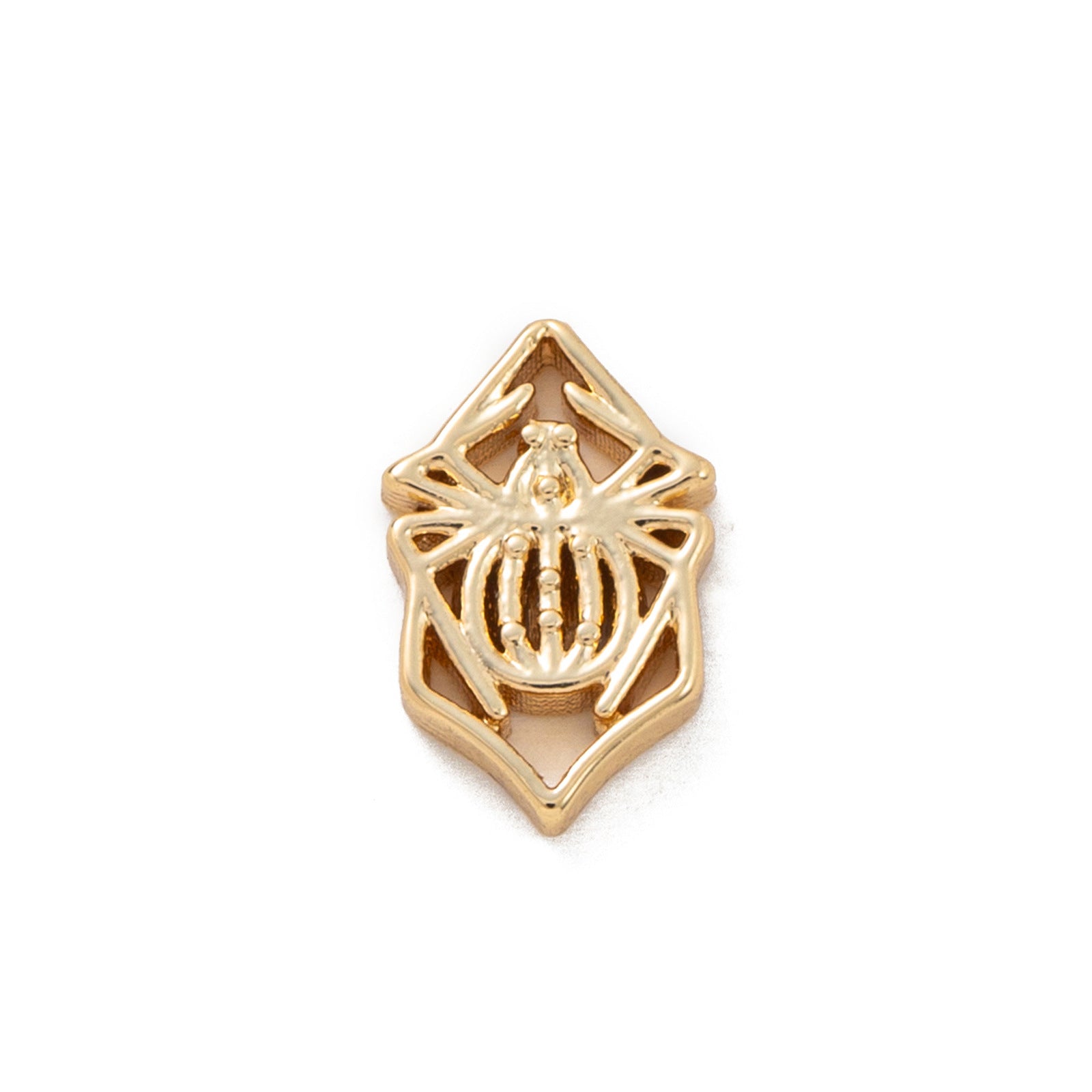 Floating Charm Locket Necklace - Spider Charm [EKOS8P4U]