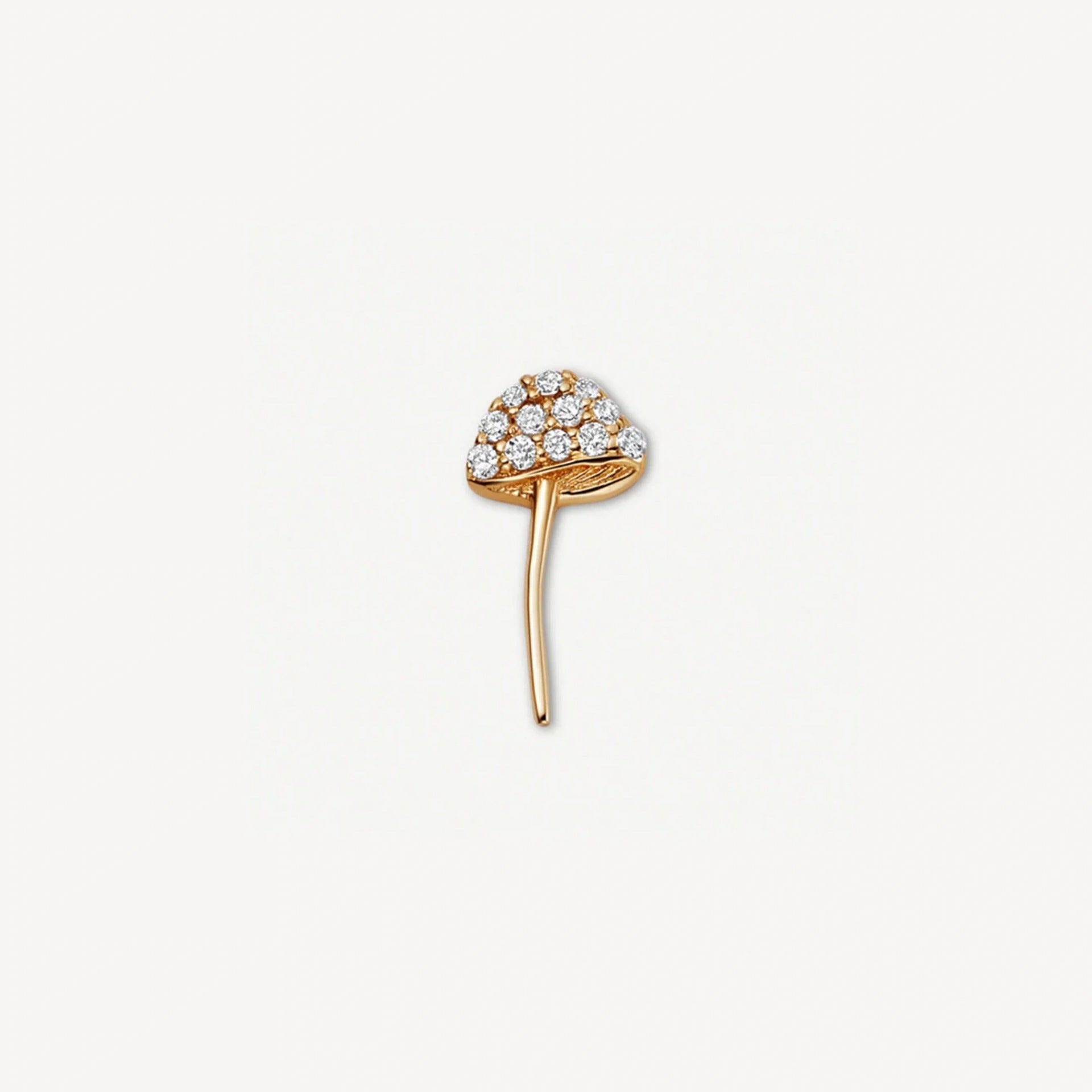 Floating Charm Locket Necklace - CZ Mushroom Charm [16P0PBRS]