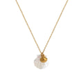Starfish Pendant Necklace - Shell Necklace (O-chain) [8Q6QP53V]