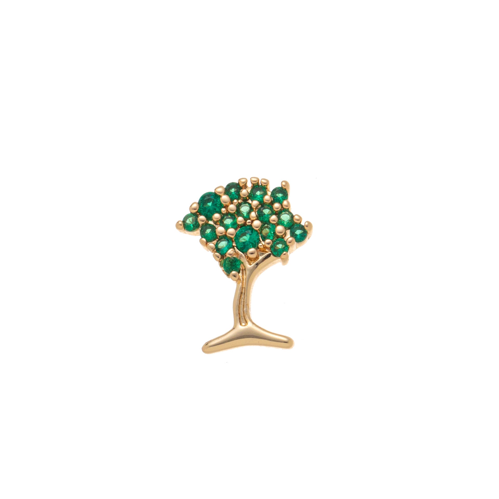 Transparent Locket Pendant Necklace - Tree (Charm Only) [AMTPK7N3]