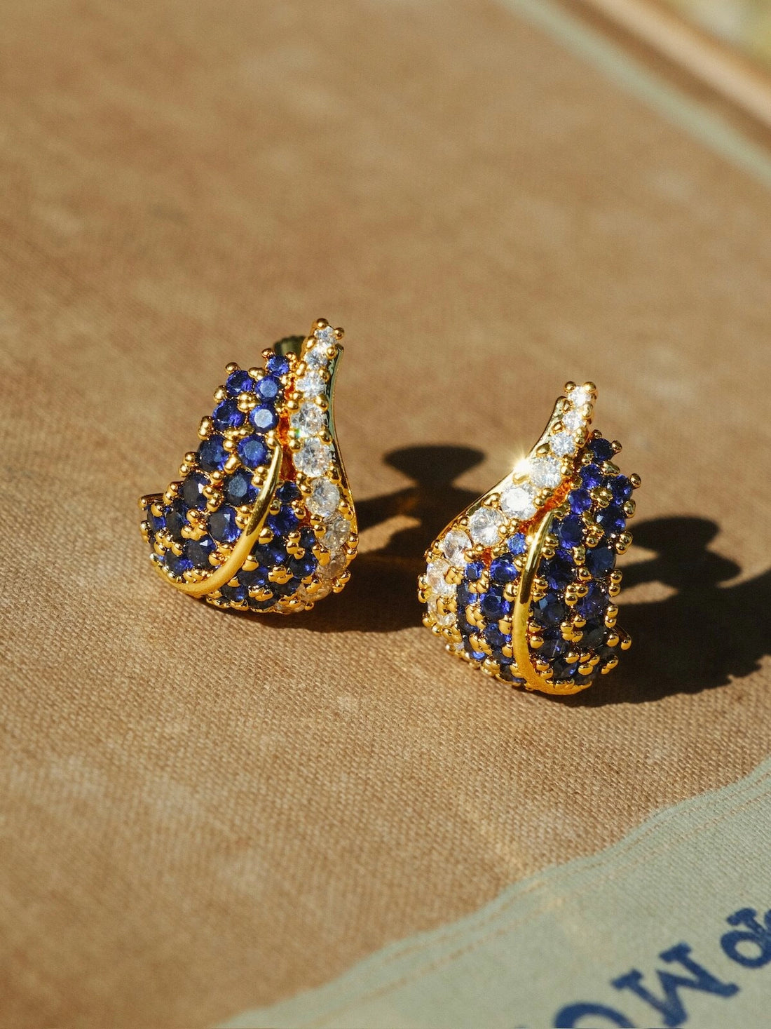 Elegant Feather Drop Earrings [EUR2H1MH]