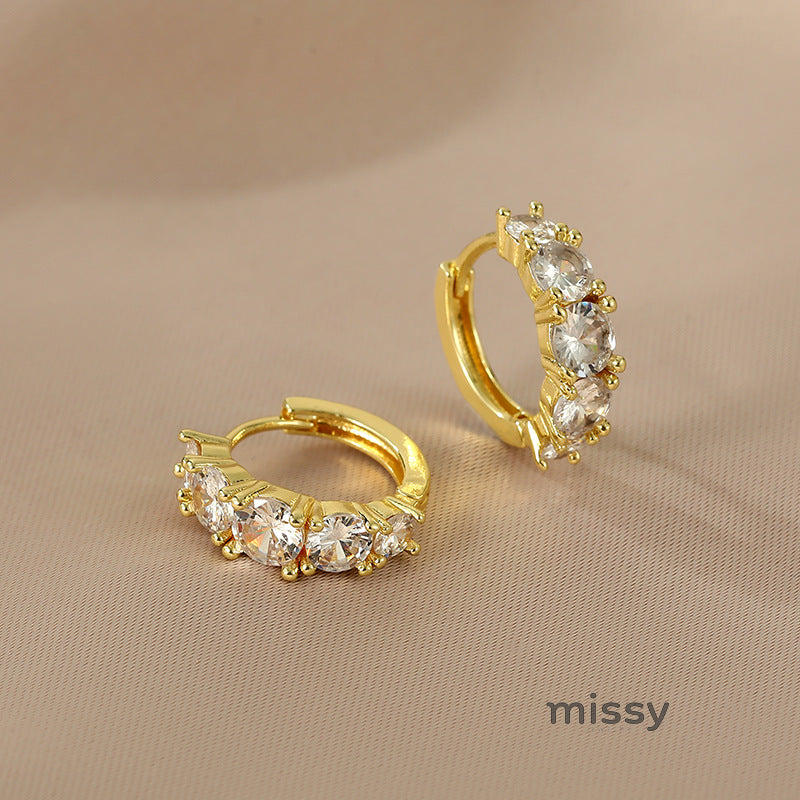 Josette Inlaid Zircon Circle Earrings [W2FAQUSA]