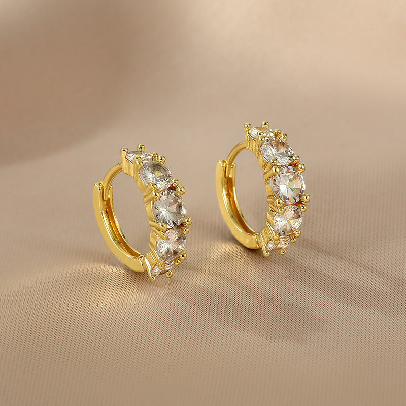 Josette Inlaid Zircon Circle Earrings [BQGYSQJT]