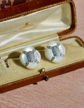 Mother-of-Pearl Drop Earrings [T1ZDXWFH]