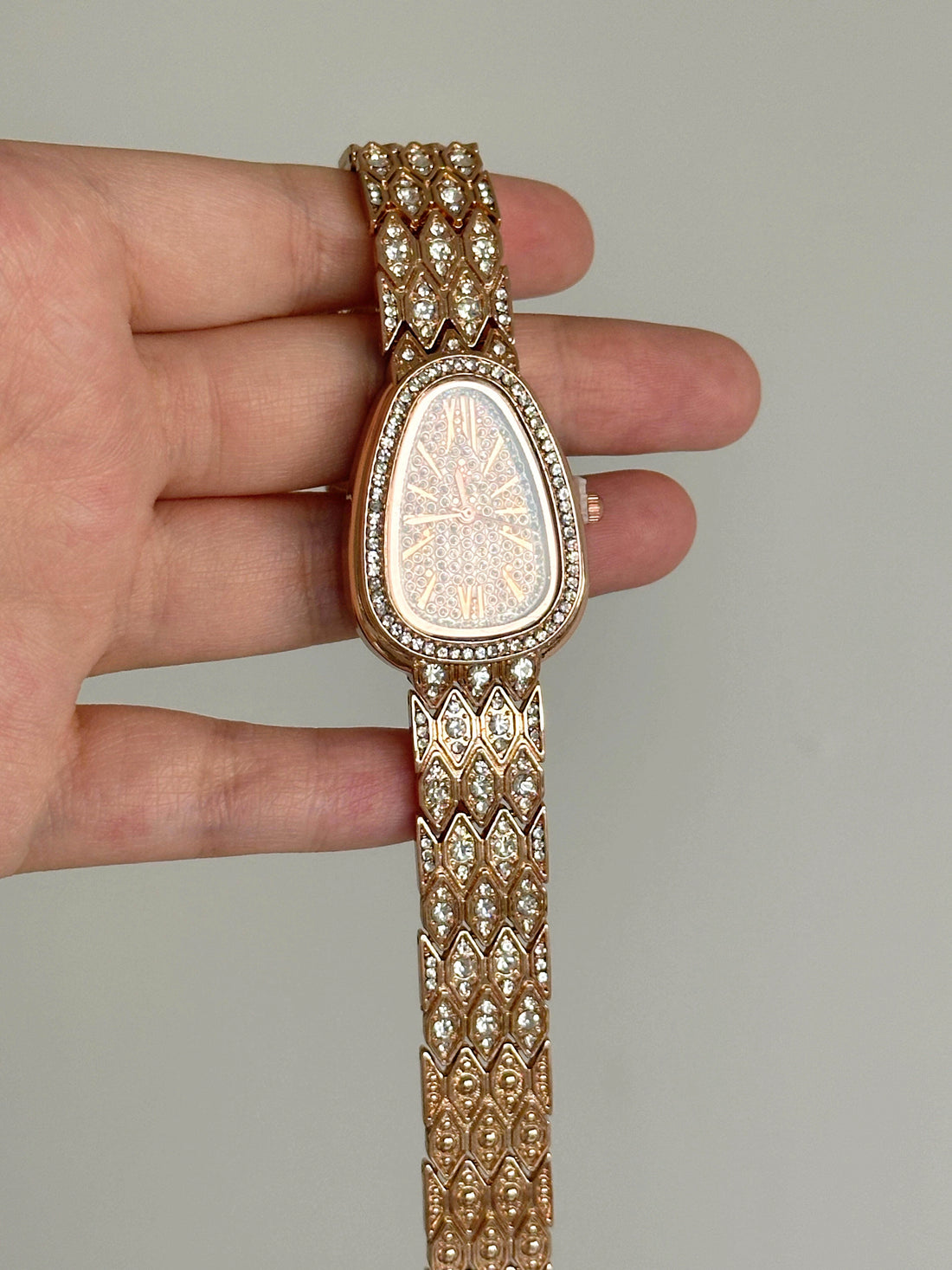 Snake-Shaped Diamond-Encrusted Elegant Wristwatch [2UD84RYZ]
